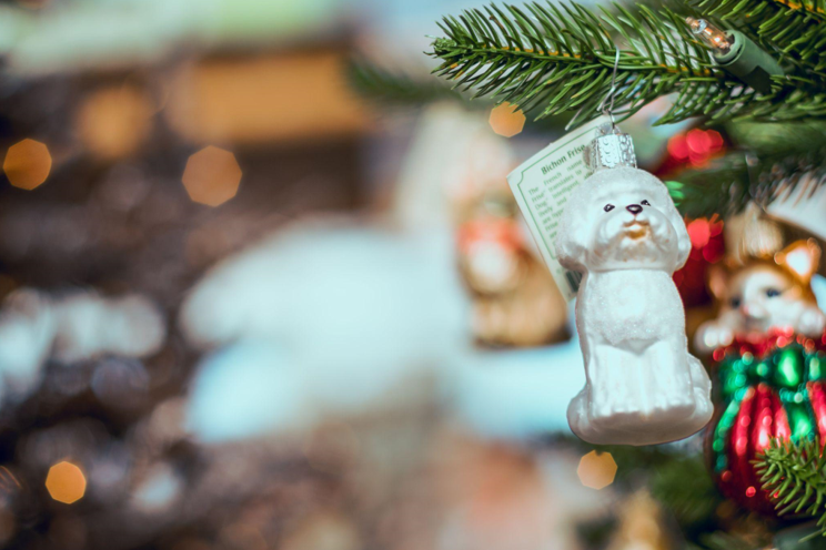 Unlit Artificial Christmas Trees and the Surprising Connection to Your Gut Health and Brain Energy