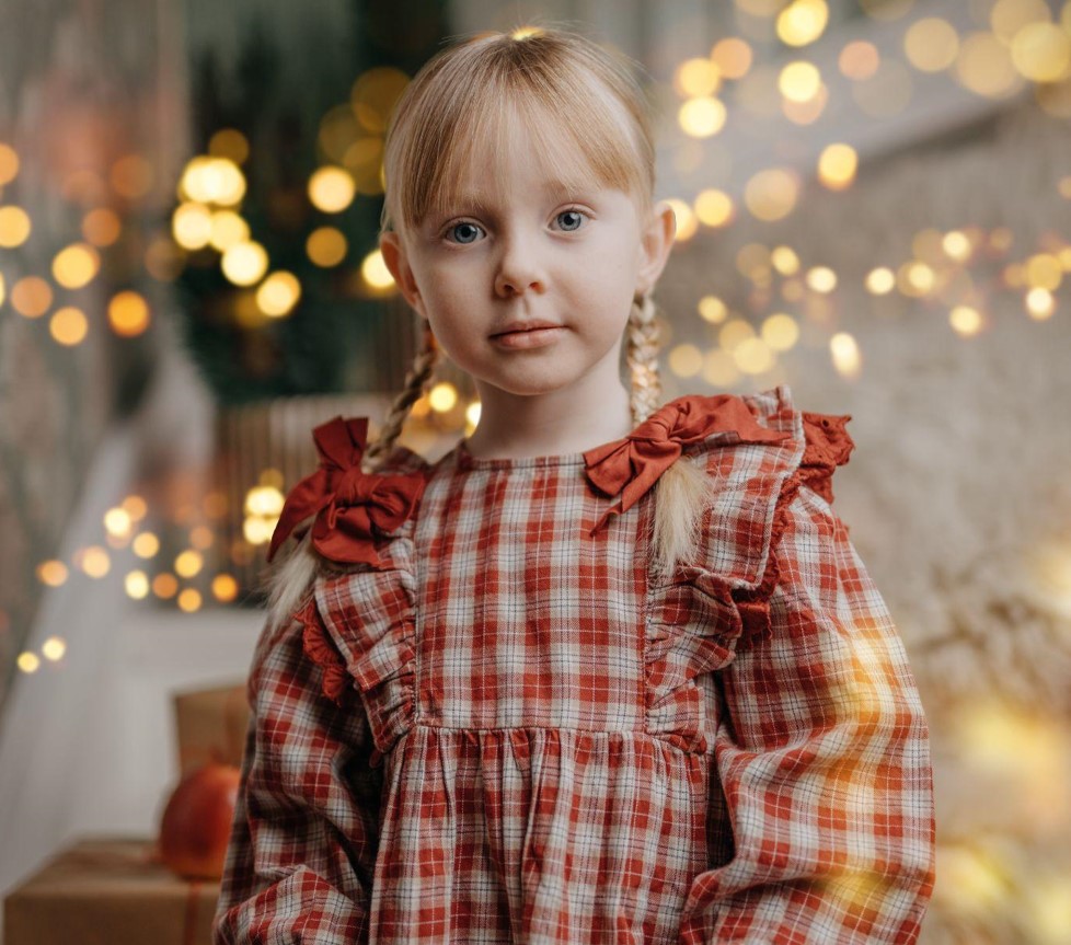 Transform Your Holiday with Christmas Tree Skirts